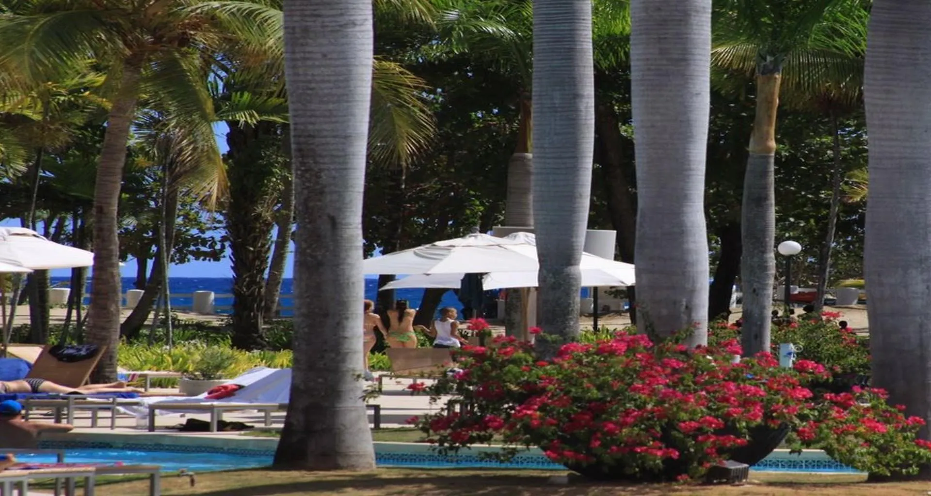Vh - Gran Ventana Beach Resort San Felipe de San Felipe de Puerto Plata Repubblica Dominicana